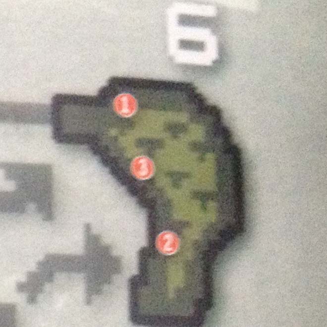 Area 6