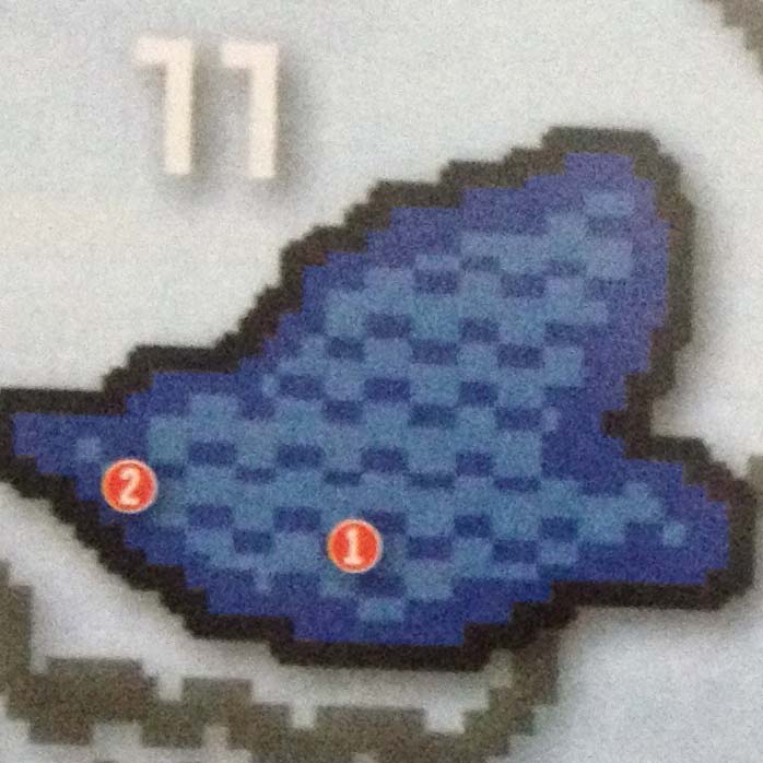 Area 11
