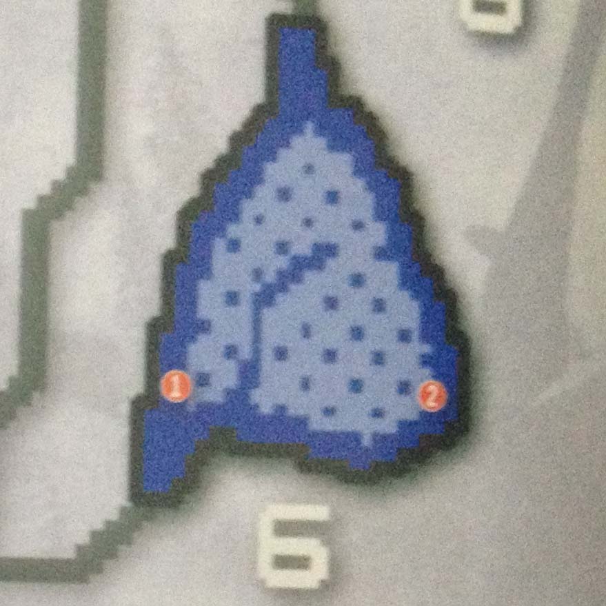 Area 6