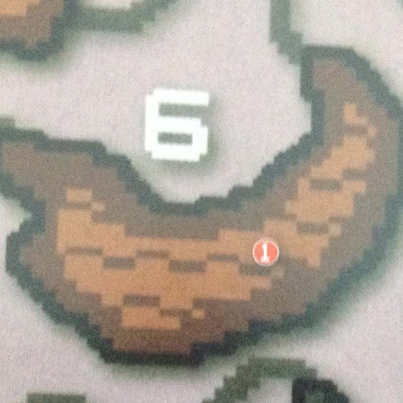 Area 6