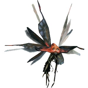 Bnahabra