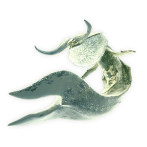 Ceadeus