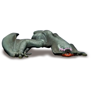 Gigginox