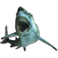 Sharq