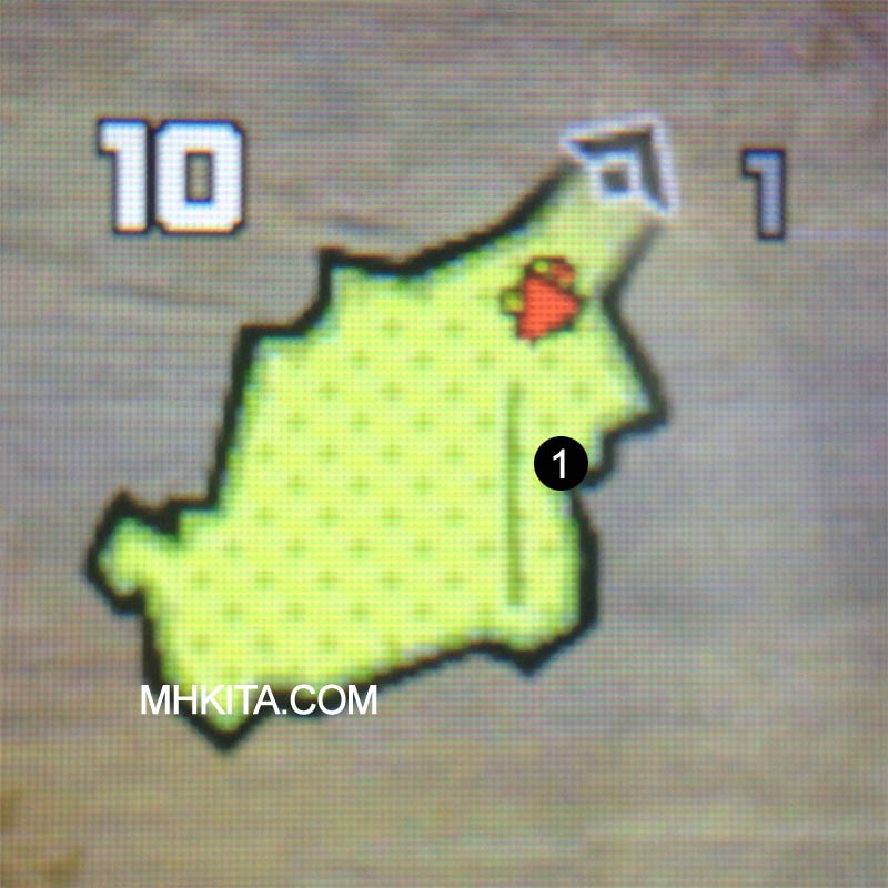 Area 10