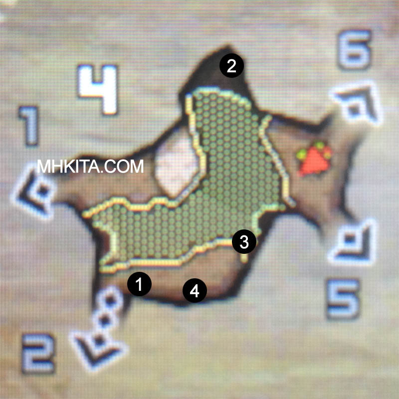Area 4
