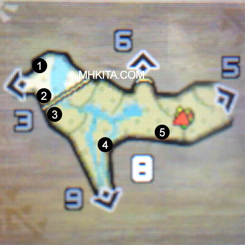 Area 8