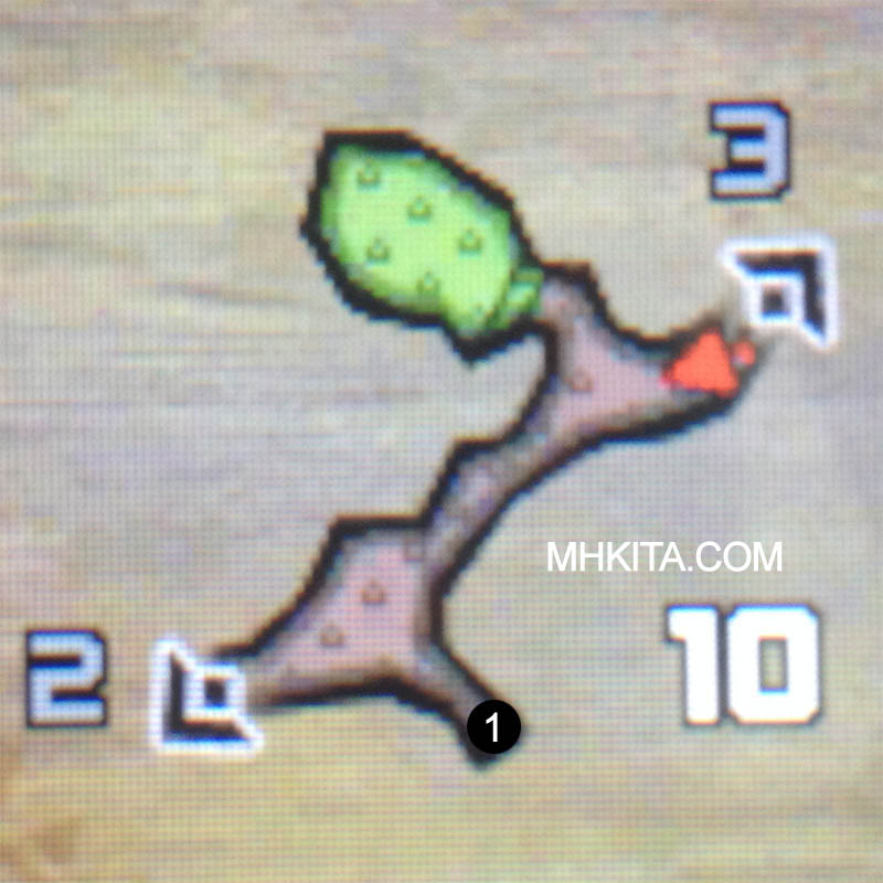 Area 10