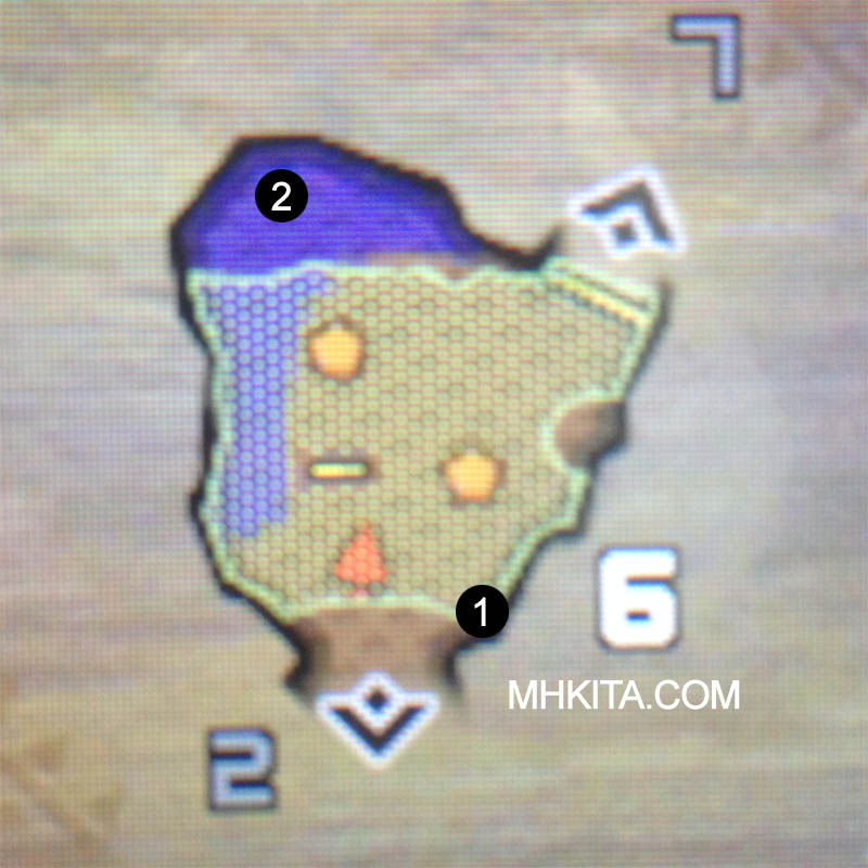 Area 6