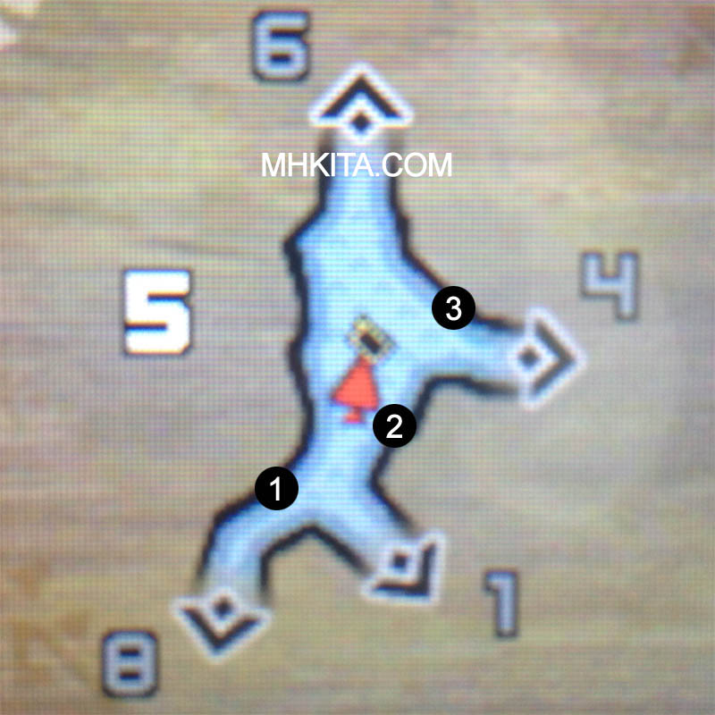 Area 5