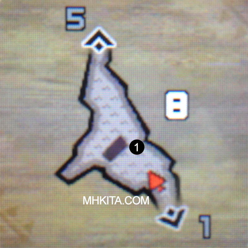Area 8