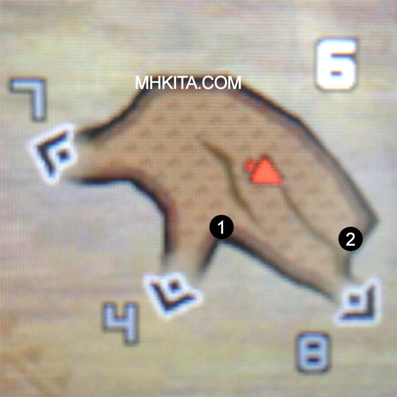Area 6