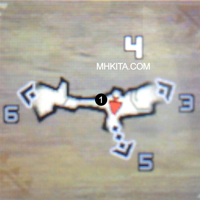 Area 4